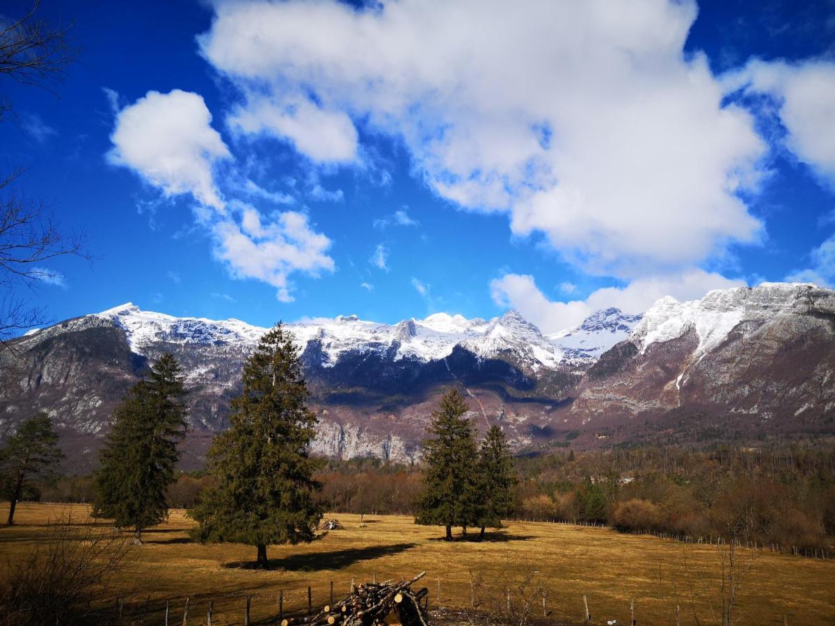Apartma Janja Bovec Extérieur photo